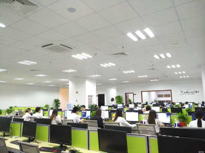 芝林信息咨询 专业赋能，引领信息咨询新航向